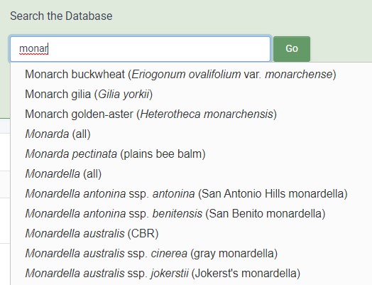 Home Page Search Autocomplete Example
